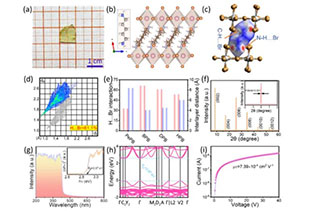 Multiple hydrogen bonds induced by spacer conformation in two-dimensional perovskite for efficient optoelectronic devices