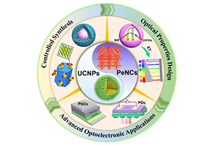 Combination of Perovskite Nanocrystals and Rare Earth-Doped Upconversion Nanoparticles for Advanced Optoelectronic Applications