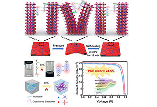 Zhiguanggu comprehensive summary series: heavy hit! The latest progress in flexible perovskite photovoltaics in 2024!