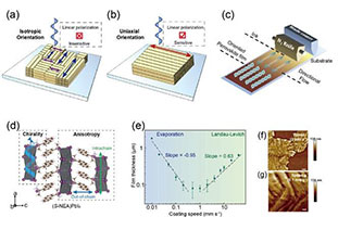 Uniaxially oriented chiral perovskite for flexible Full-Stokes polarimeter