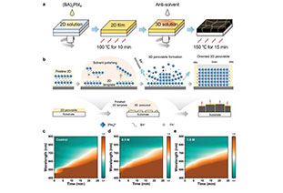 Highly oriented FAPbI3 grown via 2D Ruddlesden Popper perovskite template