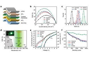 Constructing multifunctional polymer-terminated surfaces to achieve high-performance flexible perovskite LEDs