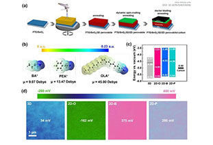 19.6% HTL-free carbon electrode-based perovskite record efficiency!
