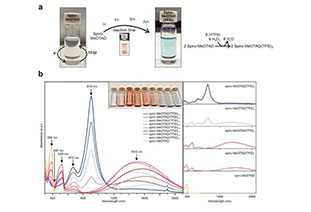 Additive-free oxidized Spiro-MeOTAD hole transport layer improves the stability of thermal solar cells