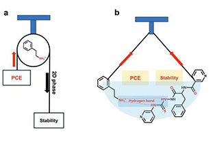 Effective interface engineering of highly efficient and stable FAPbI3 perovskite cells by suppressing deprotonated peptide ammonium halides