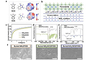 Highest FF! Bilateral chemical connection of NiOx buried interface realizes efficient and stable inverted perovskite cells and components
