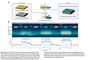 Nat. Energy: Contact-Triggered Molecular Response Enables Structural Refinement of the Absorber Layer in Perovskite Solar Cells