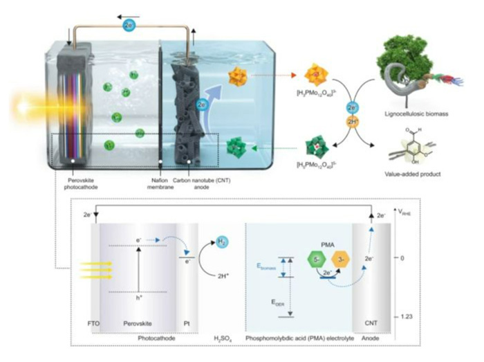 Hydrogen production using perovskite photocathode and lignocellulosic biomass