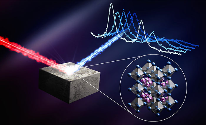 perovskite solar cell