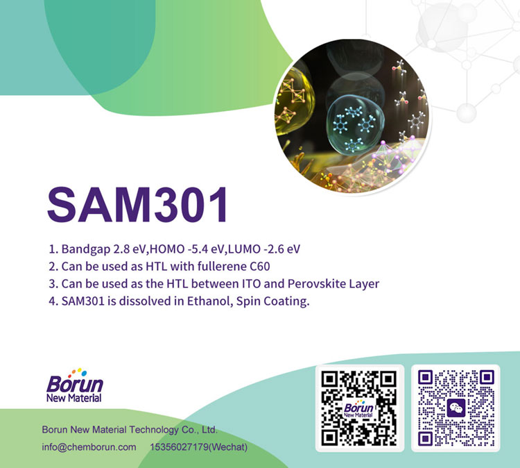 SAM301